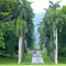 Picknick im Botanischen Garten