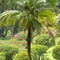 Picknick im Botanischen Garten